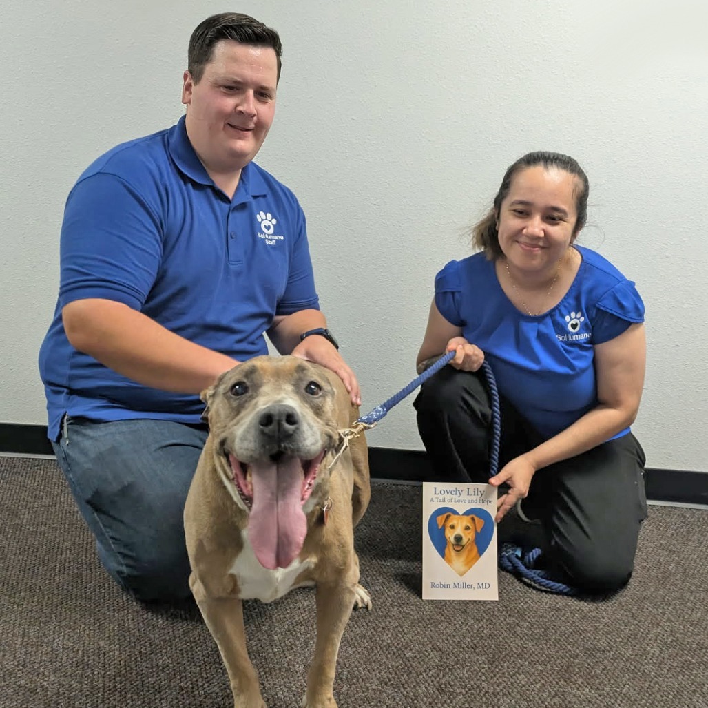Lily, an adoptable Mixed Breed in Medford, OR, 97501 | Photo Image 5