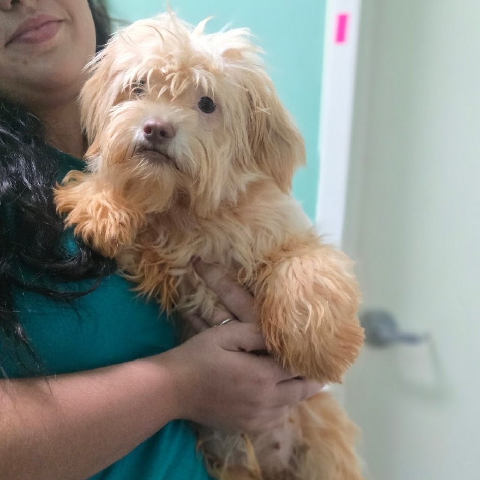 CT Bert avail Sept 17
