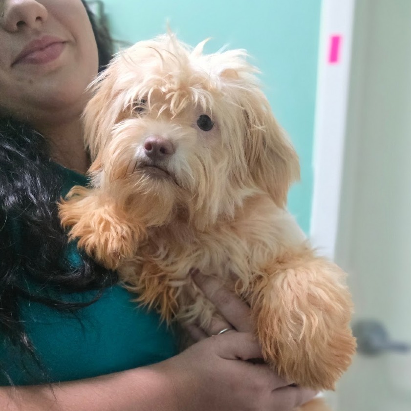 CT Oscar avail Sept 17