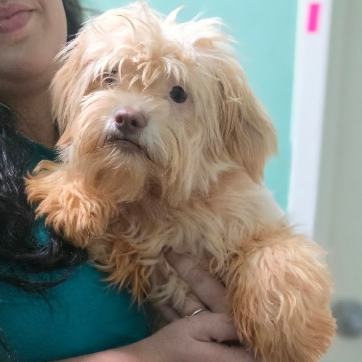 CT Fozzie avail Sept 17
