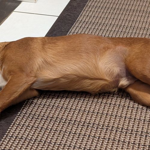 Cooper