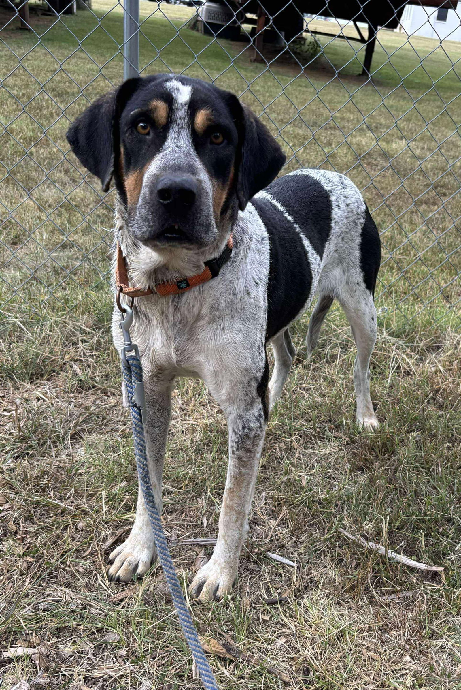 Arlington - At shelter available 9/9