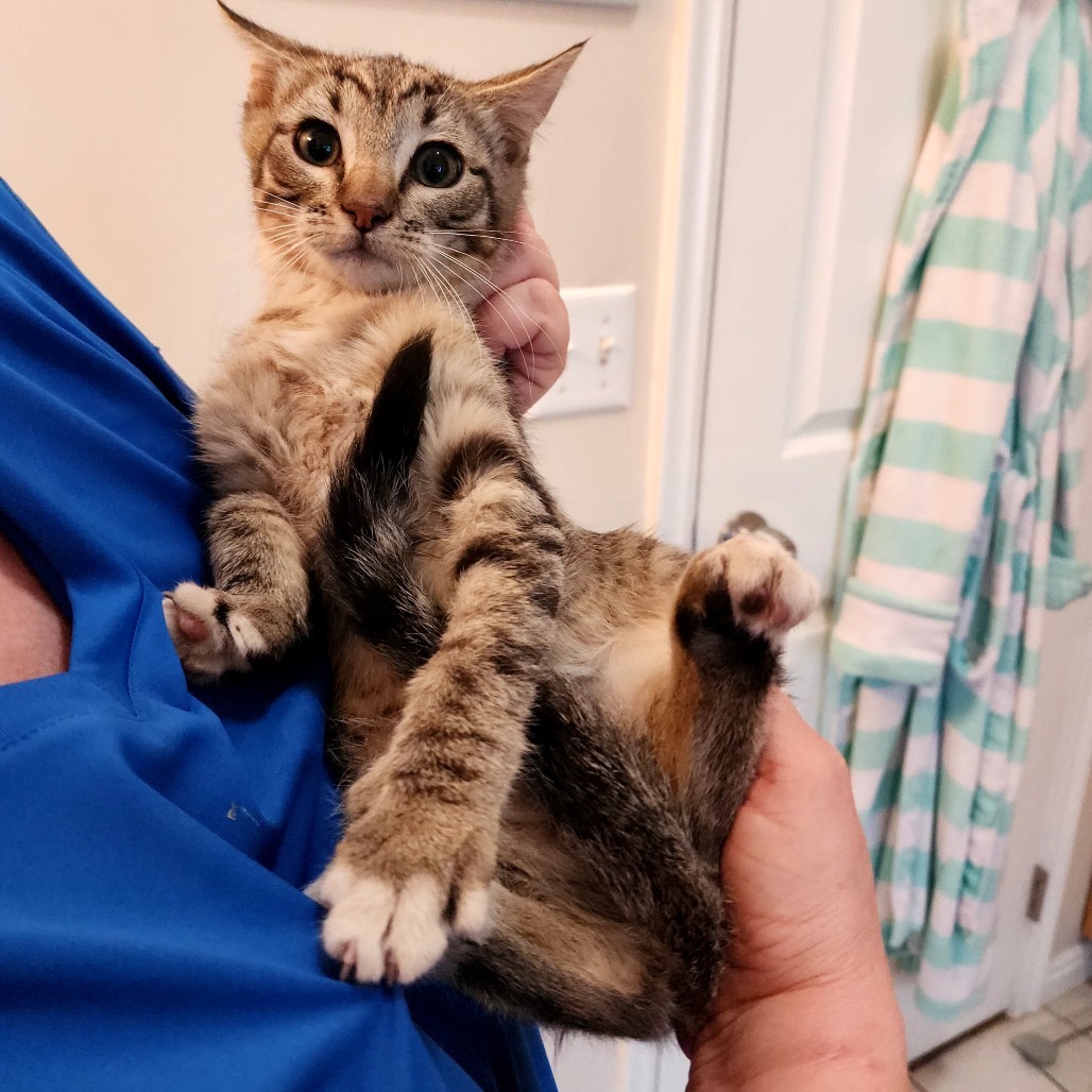 Bumi