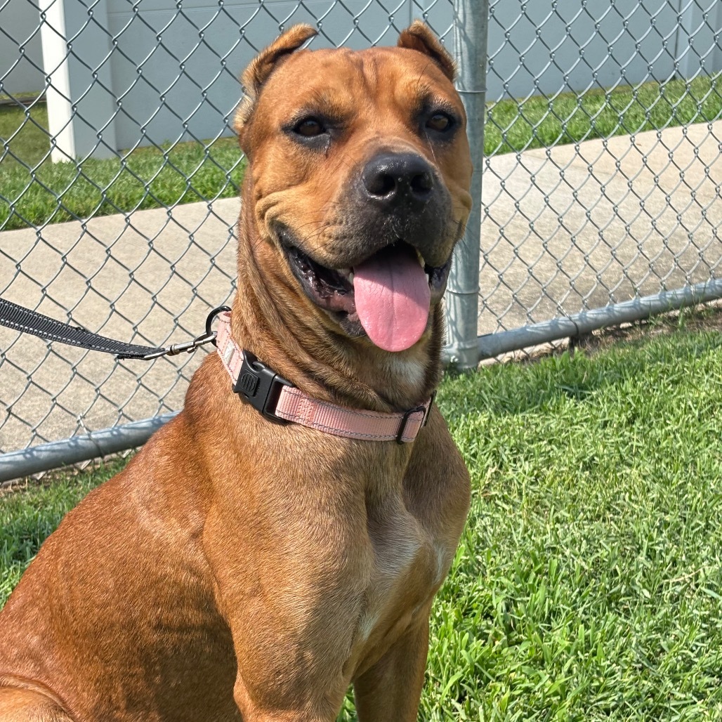 Zira