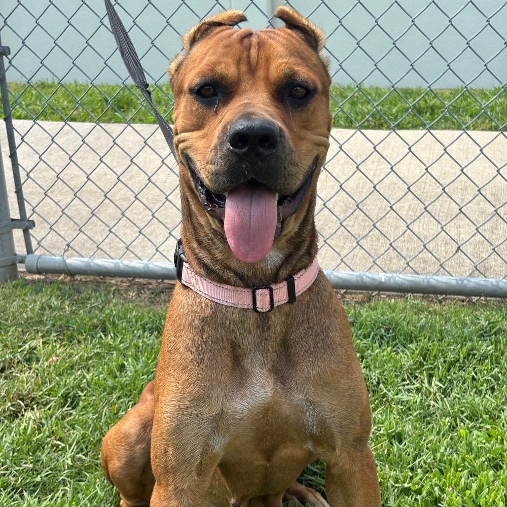Zira