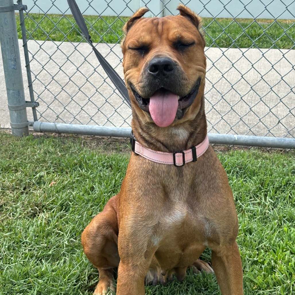 Zira