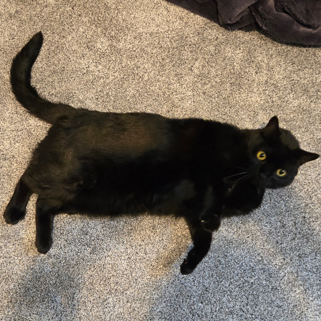 Nala