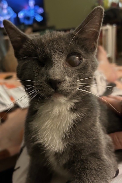 ECHO