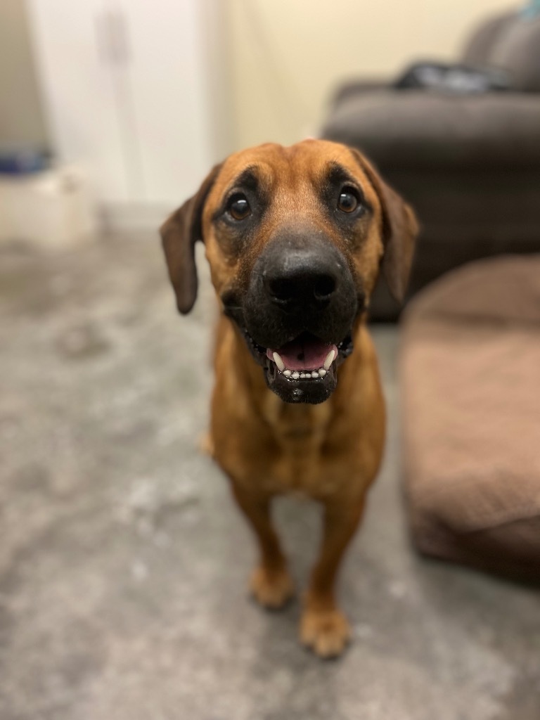 Logan