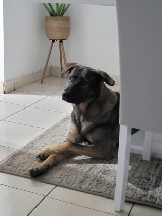 Kira