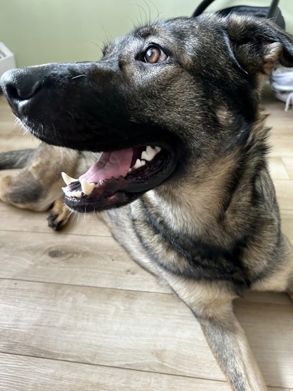 Kira