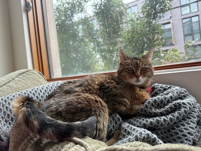 Sophie