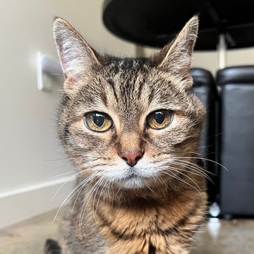 Sophie