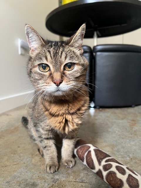 Sophie