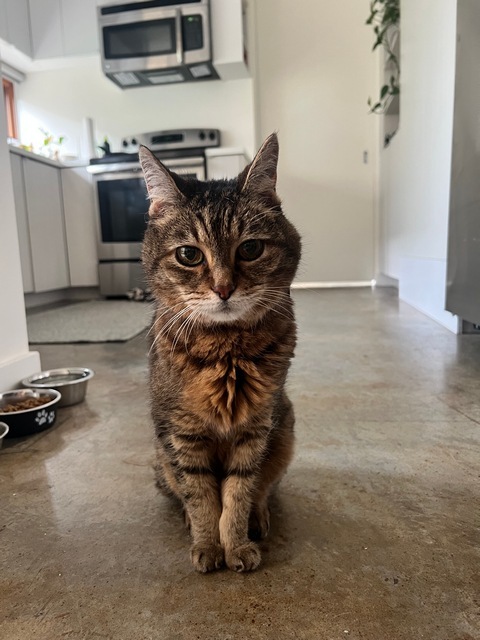 Sophie