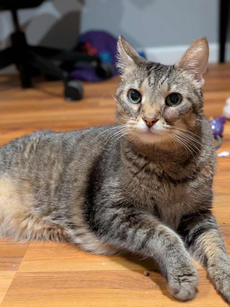 Leroy