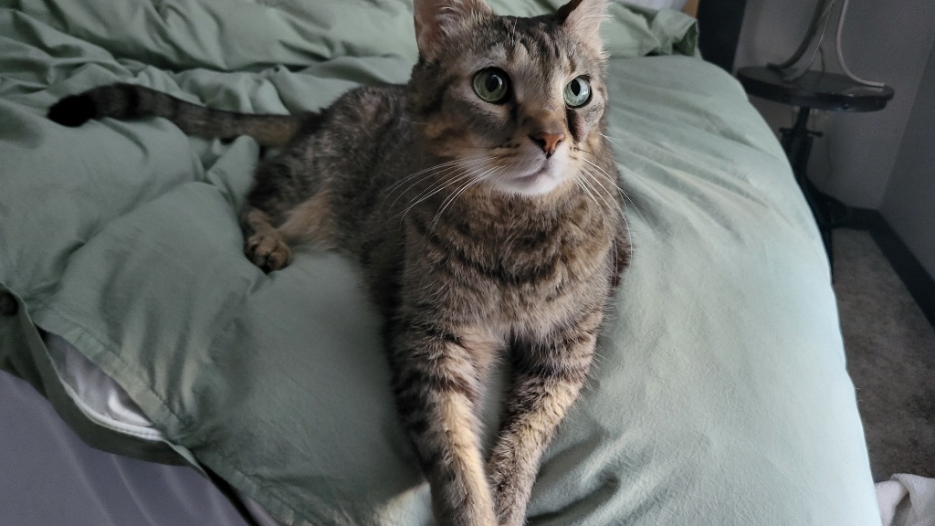 Leroy
