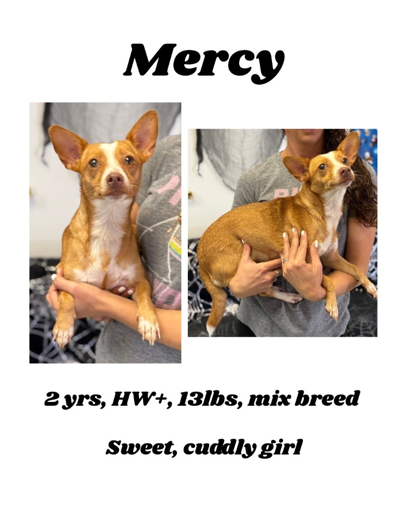 Mercy