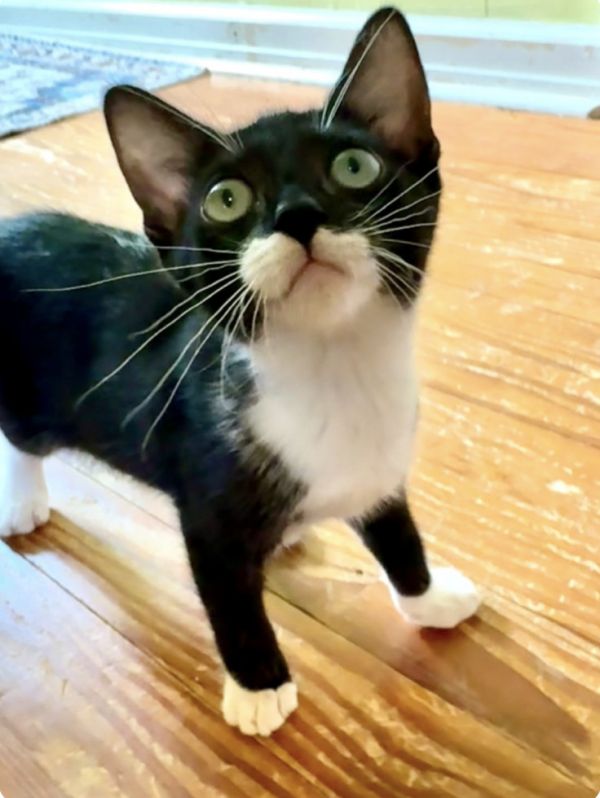Maggie
