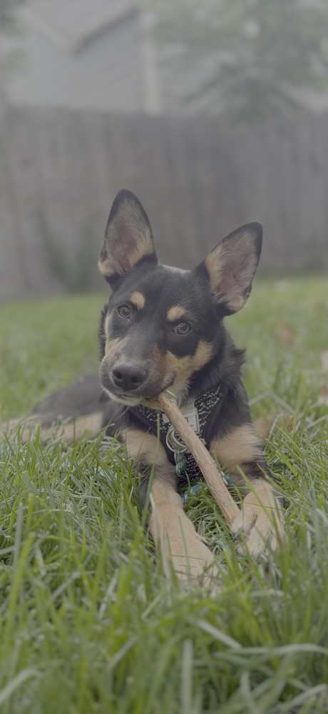 JAX