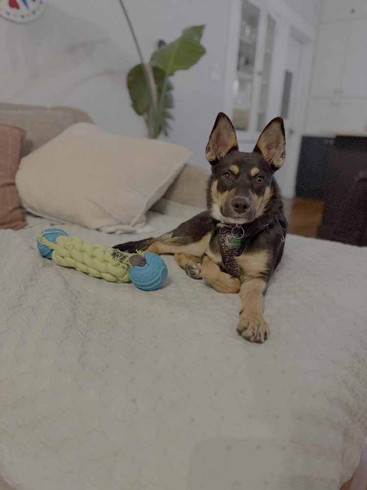 JAX
