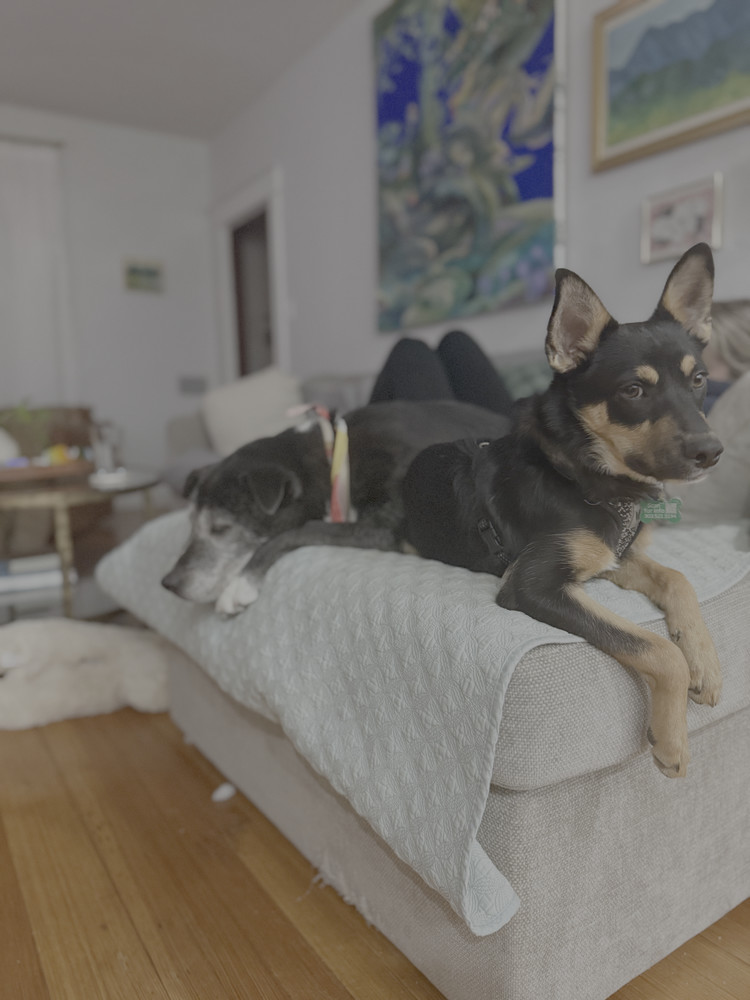 JAX