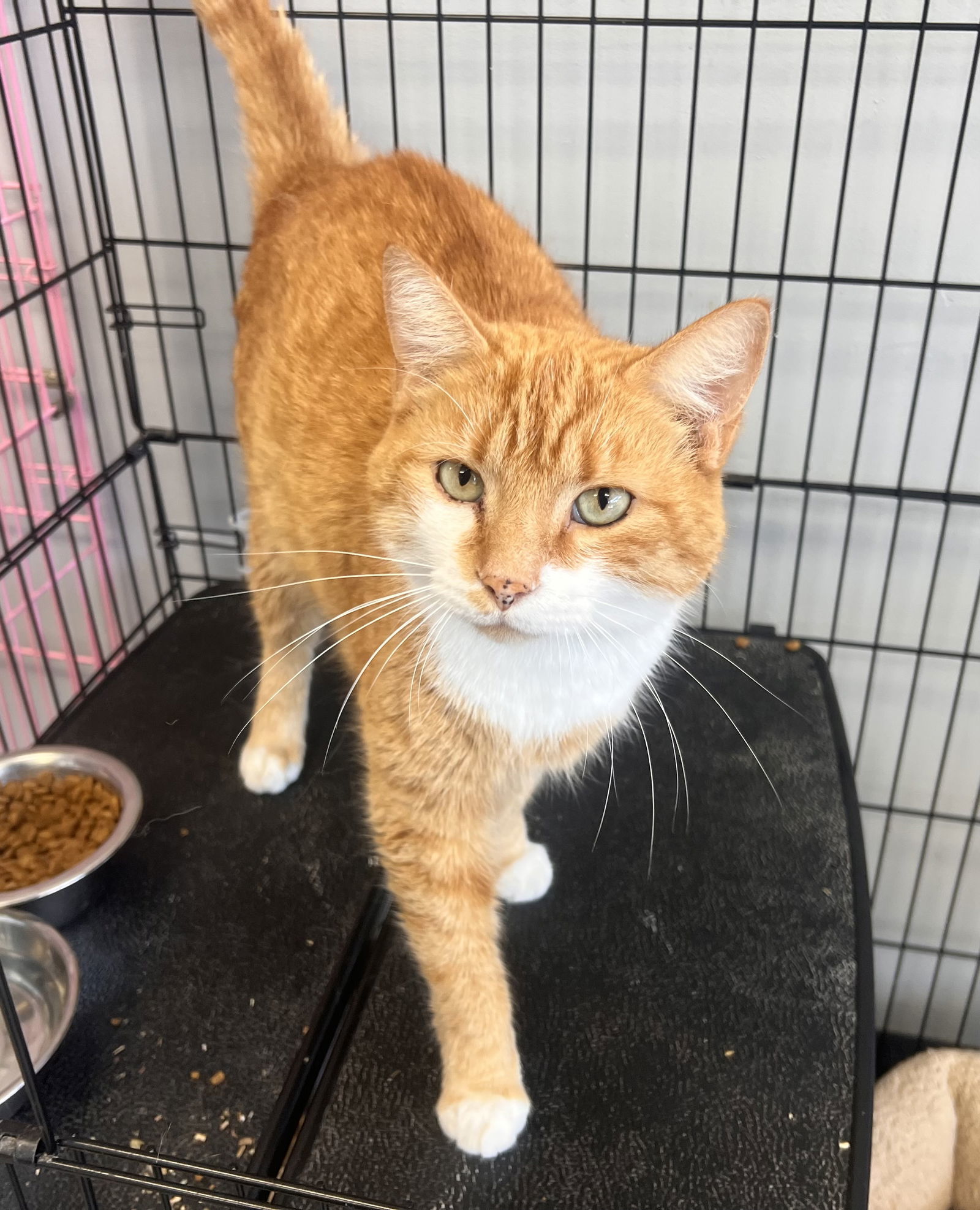 Chester- Must Apply in Person