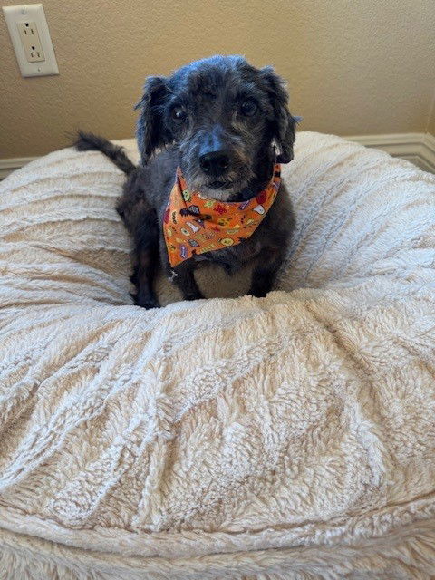 Jack - Courtesy Post