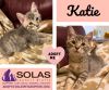 Katie -- (k&b)