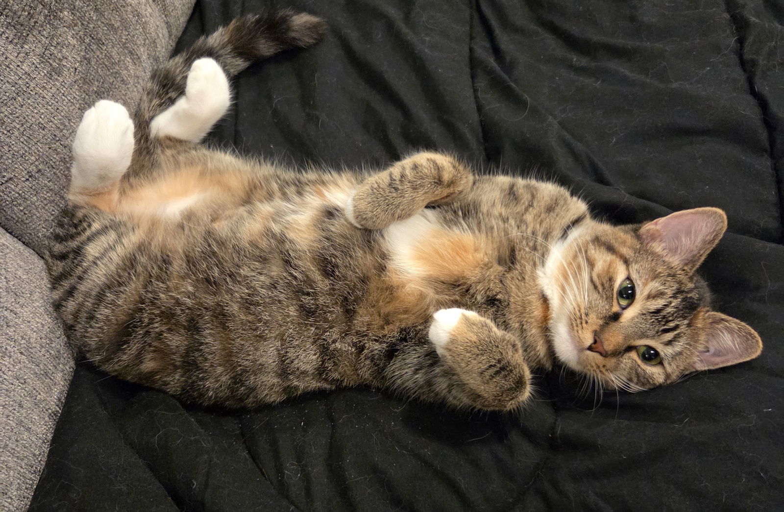Ruby
