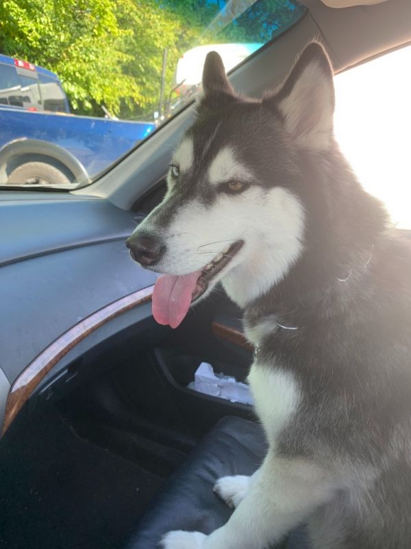 Luna