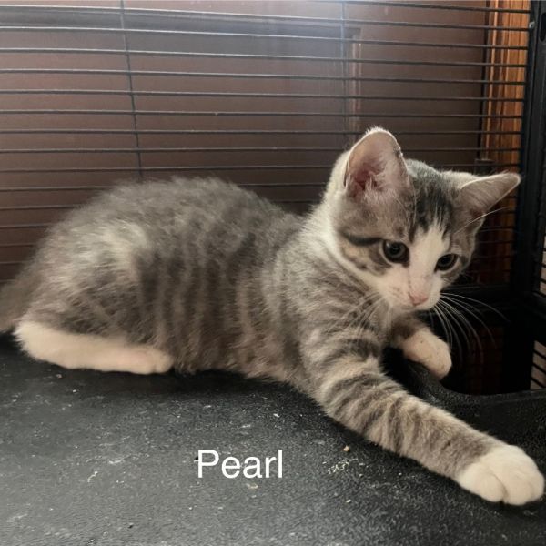 Pearl