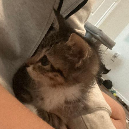 Fuzzy Wuzzy thumbnail 3