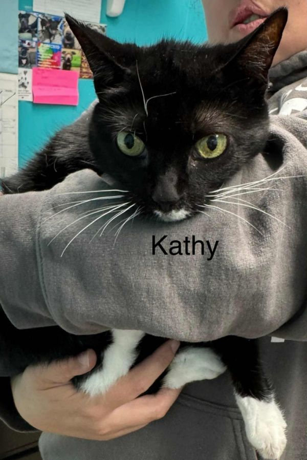 Kathy