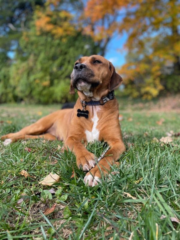 Atalie  Local photo 1