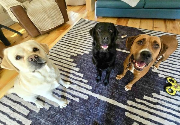 Atalie  Local thumbnail 2