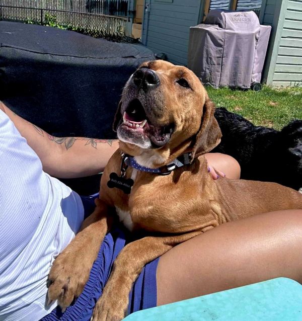 Atalie  Local thumbnail 3