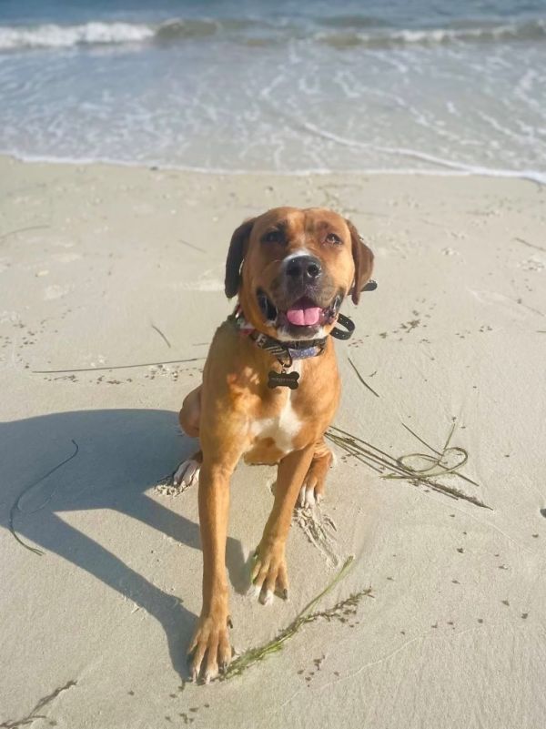 Atalie  Local thumbnail 4