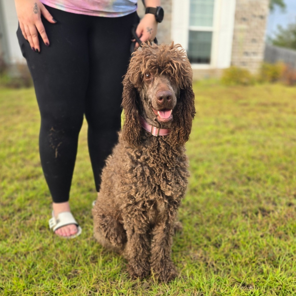 Coco