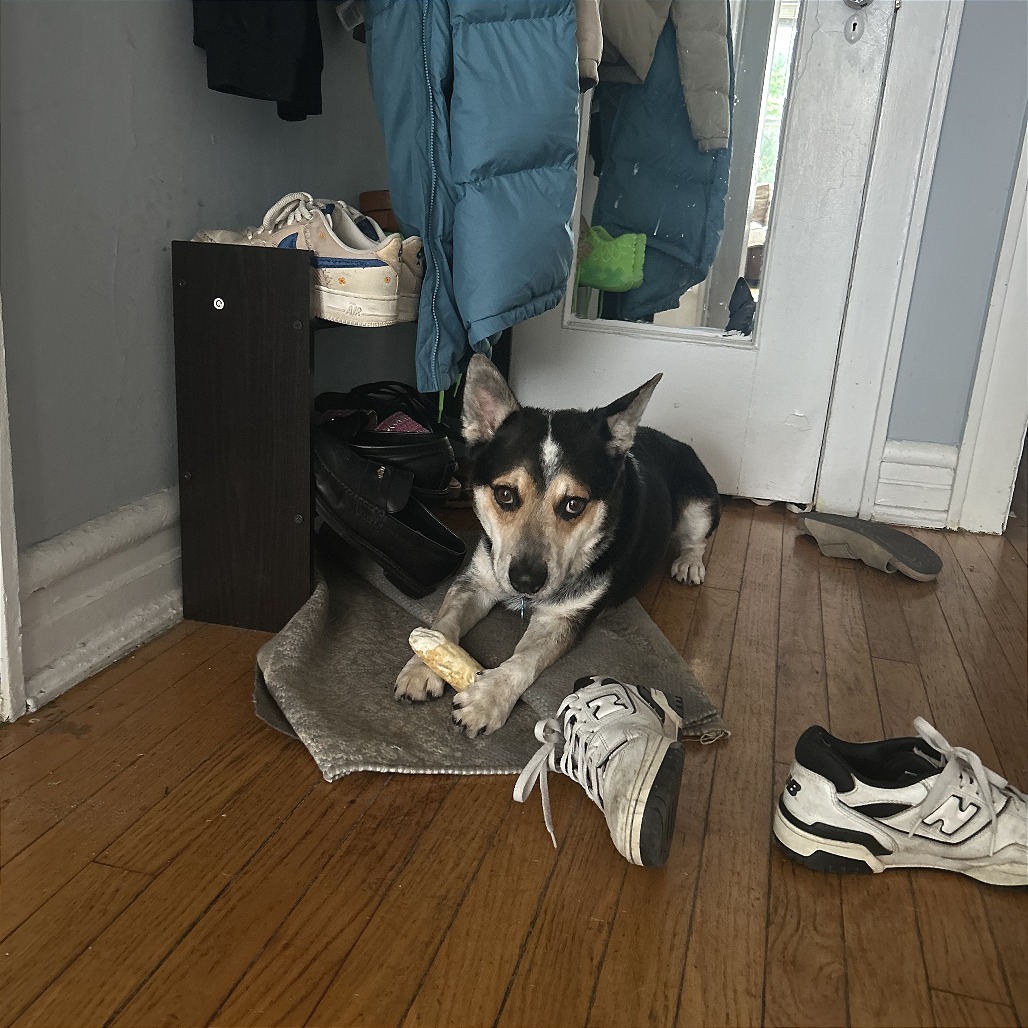 Taco