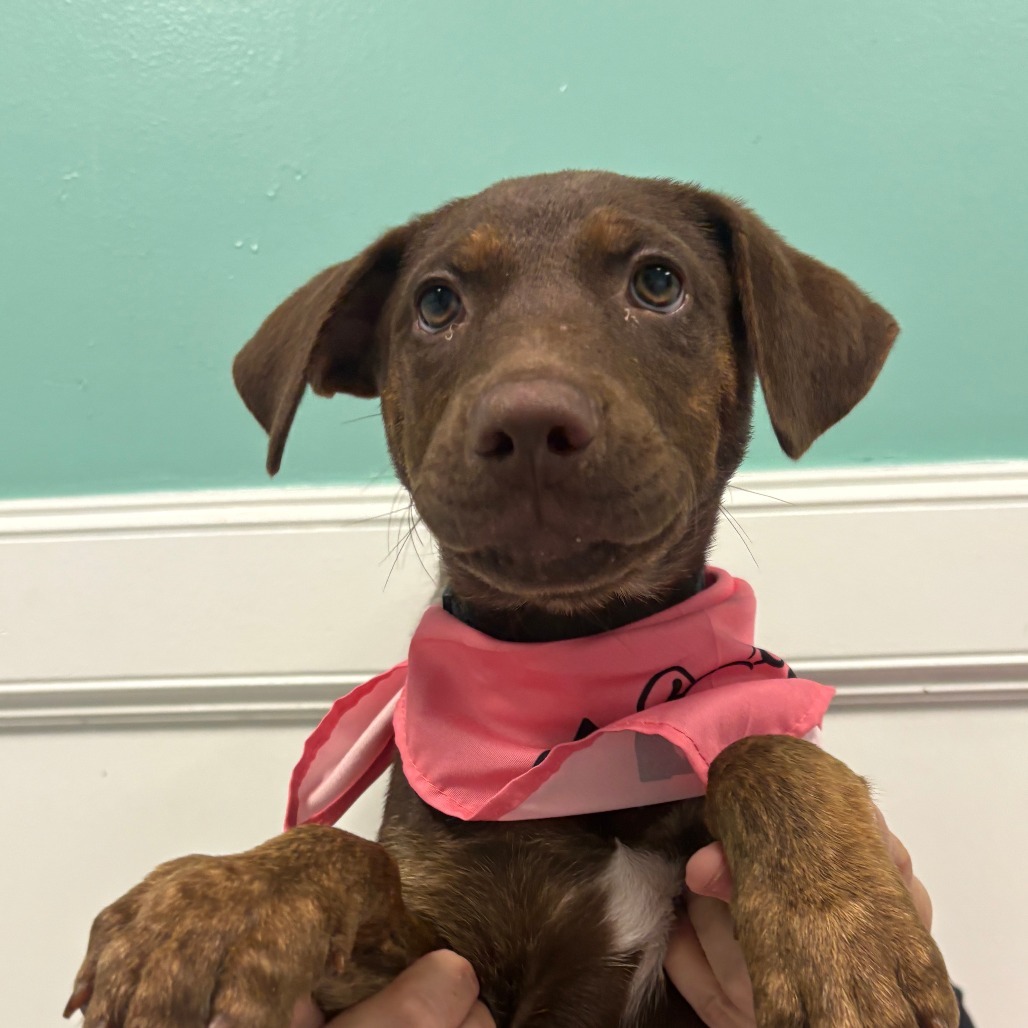 Ellie