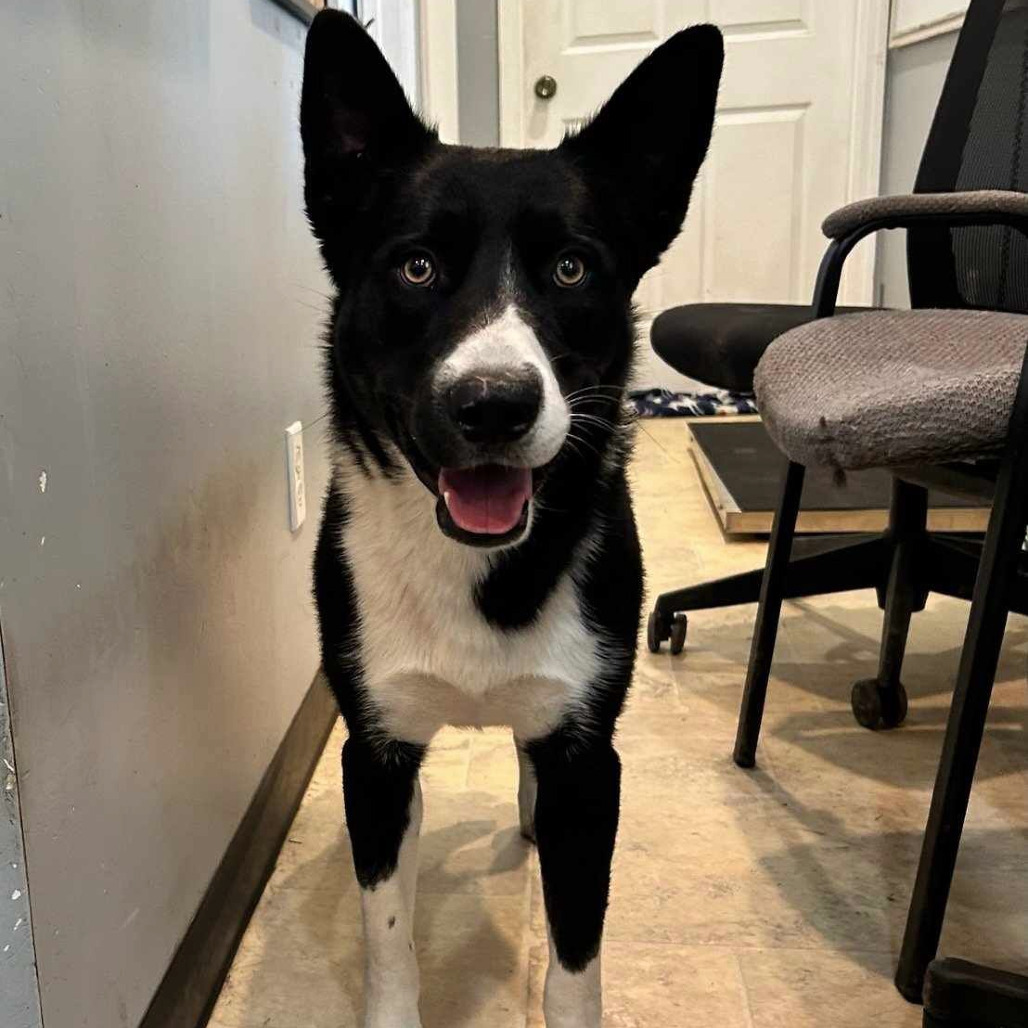 Tucker