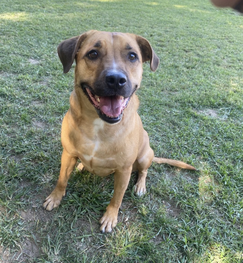 Maggie (TIANA)