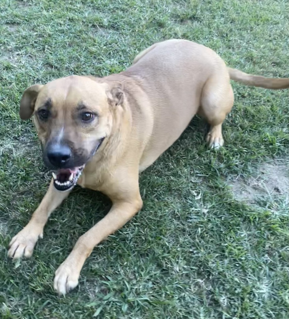 Maggie (TIANA)