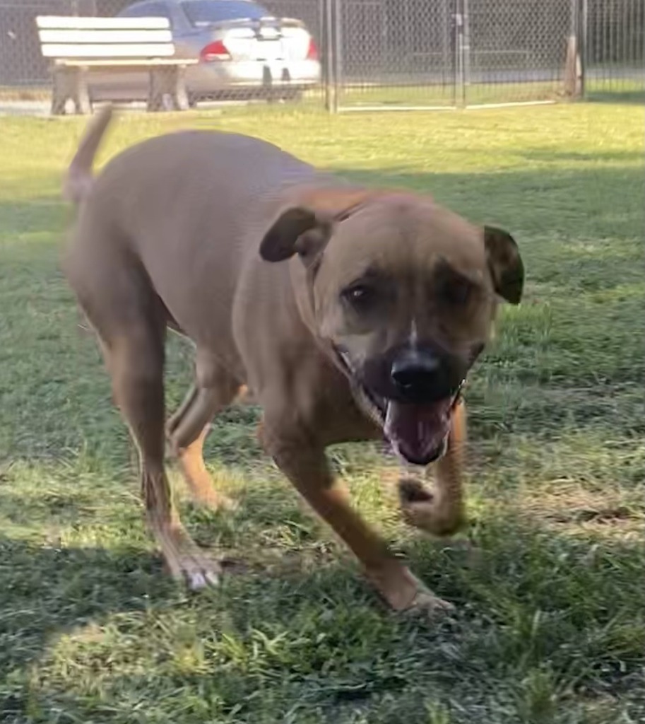 Maggie (TIANA)
