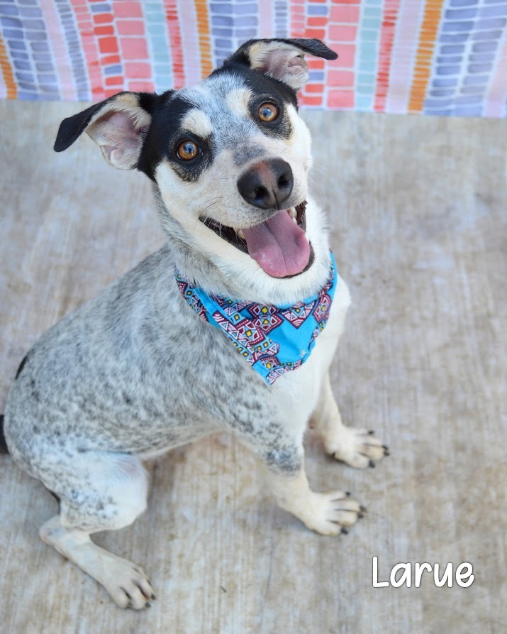 Larue