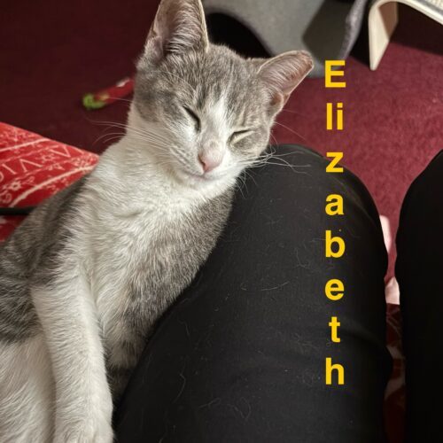 Elizabeth