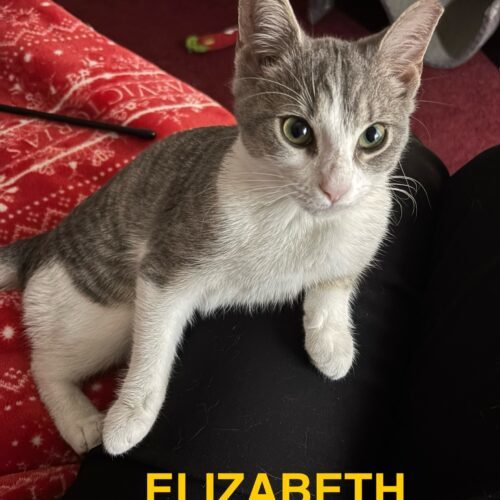 Elizabeth