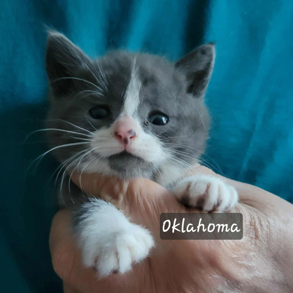 Oklahoma