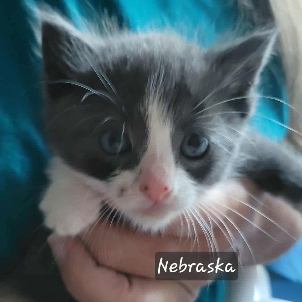 Nebraska